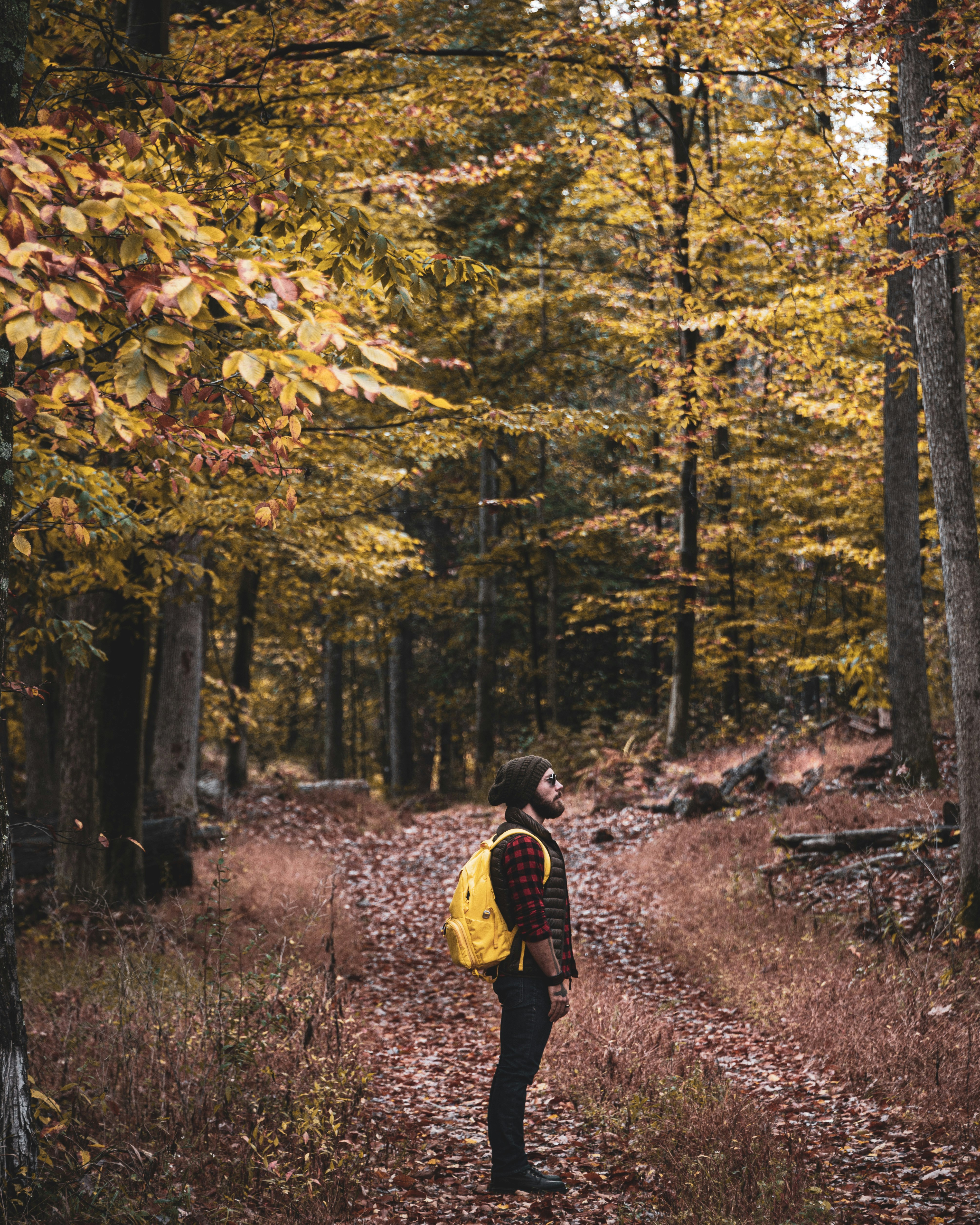 man in yellow jacket walking on forest during daytime